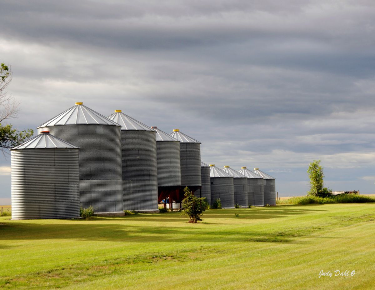 grain-bins