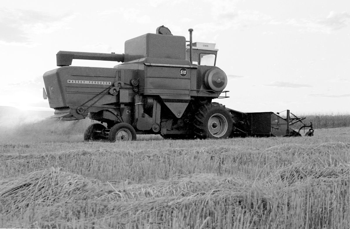 massey-ferguson-combine