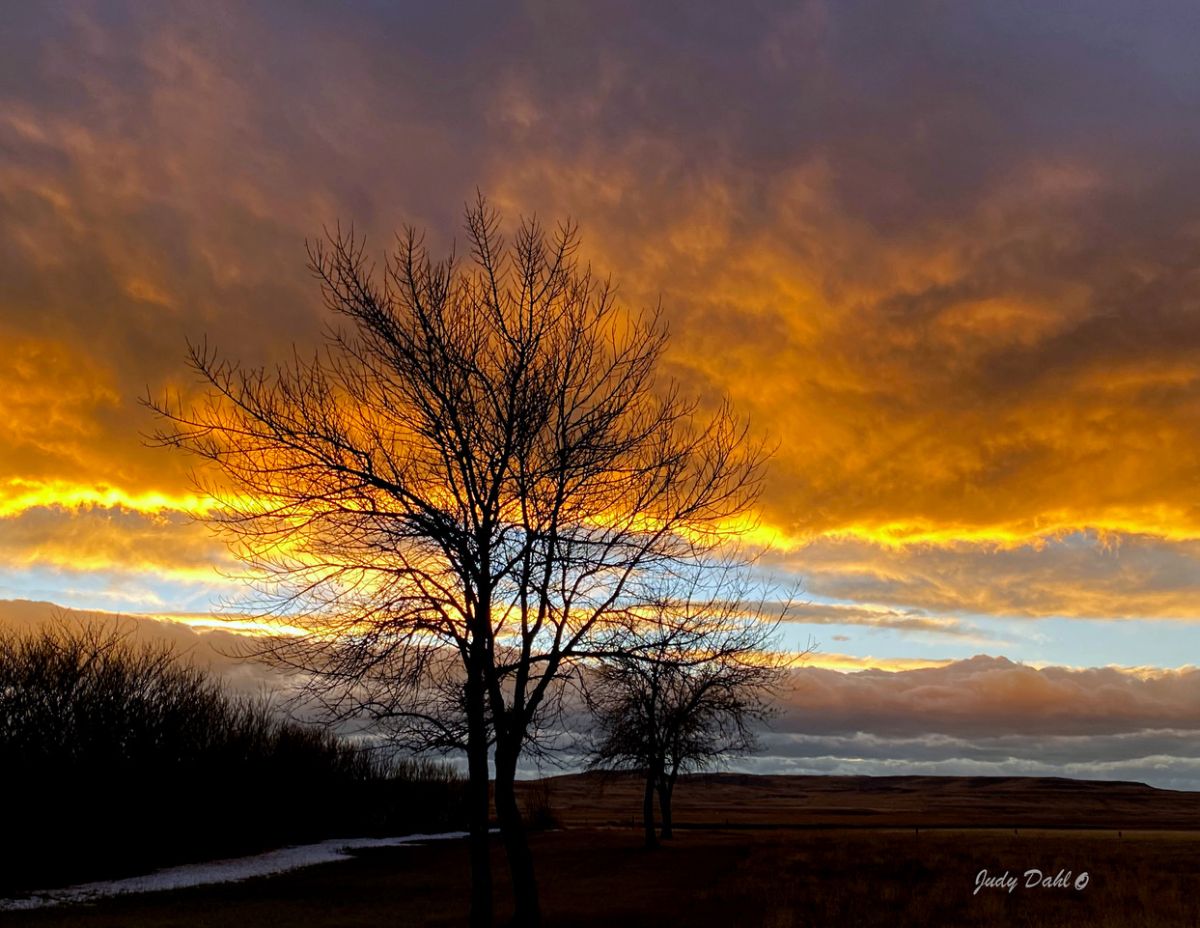 spring-sunset