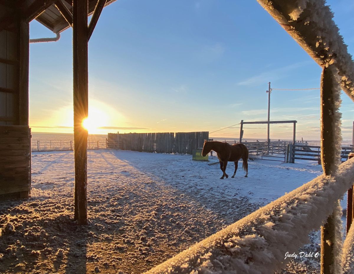 winter-morning