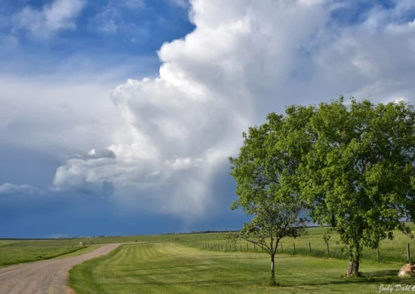 scenary